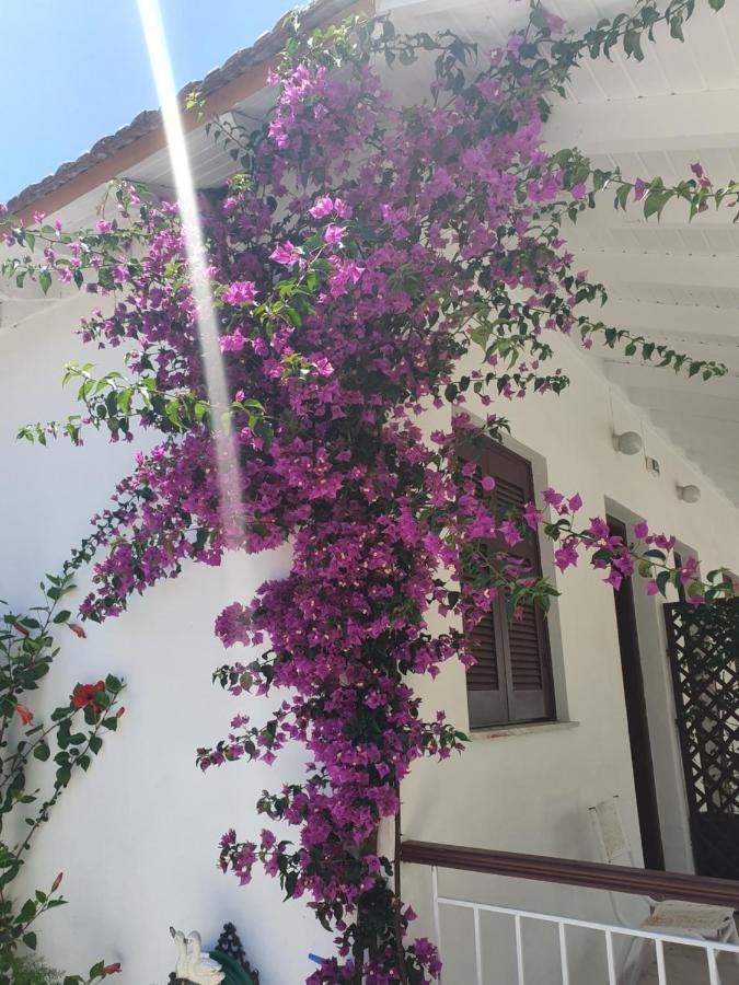 Daglas Seaside Studios Nydri (Lefkada) Exterior foto